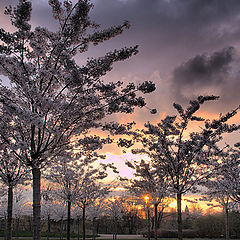 photo "Copenhagen"