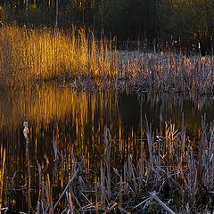 фото "Как приходит солнце"