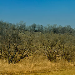 photo "April in Kolomenskoe"