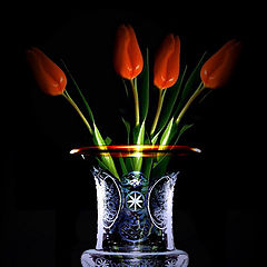 фото "Four tulips..."