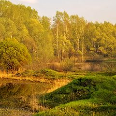 фото "Неровности"