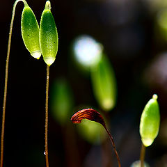 photo "My friend, as you've aged ..."