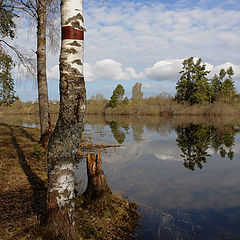 photo "Lake Ohvat"