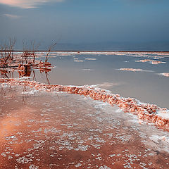 photo "Dead sea ..."