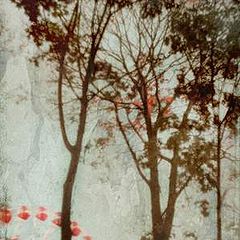 photo "***"