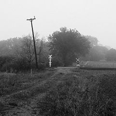 photo "The Crossing"