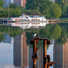 photo "spring reflections"