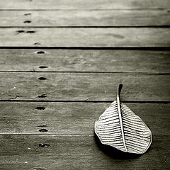 photo "Leaf me alone"