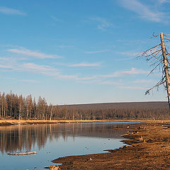 фото "Весенне-северный пейзаж"