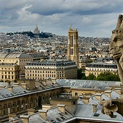 photo "Enjoying Paris"