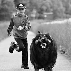 photo "Boy and dog"