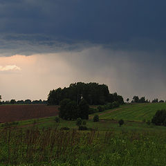 фото "Перед грозой."