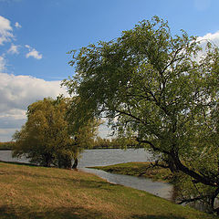 photo "***"