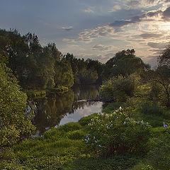 photo "May evening"