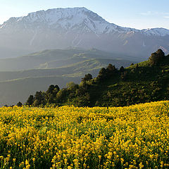 фото "Раннее утро"