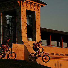 photo "The Evening exercise"