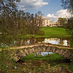 photo "Corners of Pavlovsk park 2.10"