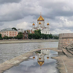 photo "After the rain"