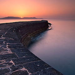 photo "The Cobb"