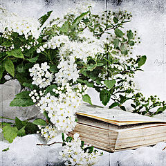 photo "***"