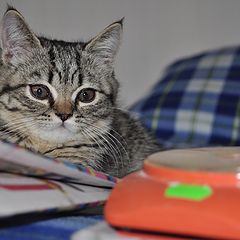 photo "Reading a newspaper"