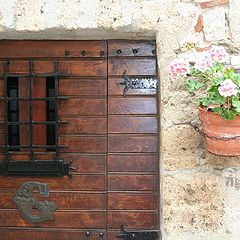 photo "flowers at the door"