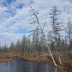 фото "Весенний ручей"