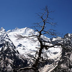 фото "Кавказские зарисовки No.1"