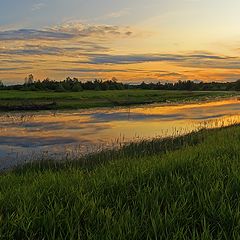 фото "На закате дня"