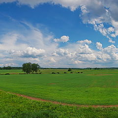 фото "Бородинское поле"