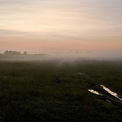 фото "Проехали... :)"