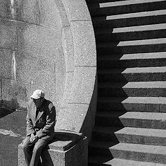 фото "Сфинксы среди нас"