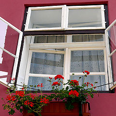 фото "Old window / Старое окно"