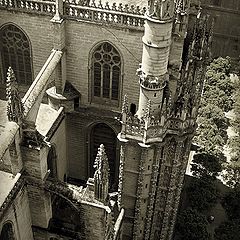 photo "A man and the cathedral"