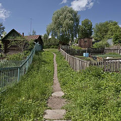 photo "***"