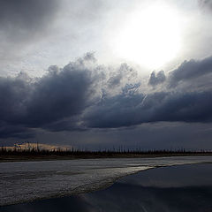 фото "Перед грозой"