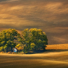 photo "Little chapel"