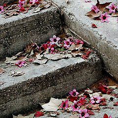 photo "Staircases. or how Spring met with Autmn."