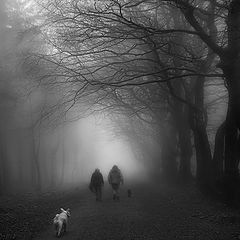 photo "Morning Walk"