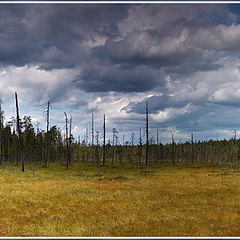 photo "Gymoly-Vottovaara"