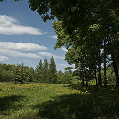 photo "***"