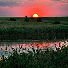 фото "Утро"