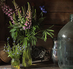photo "Still life with pink lupine"