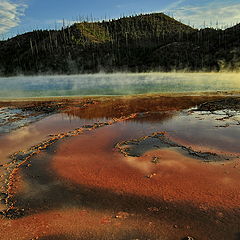 photo "Yellowstone"