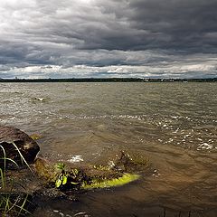 фото "Водяная.."