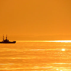 photo "Orange sunset"