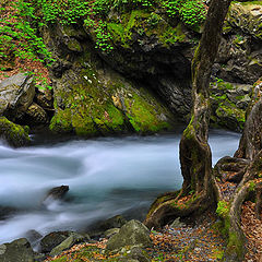 photo "The greatest creator"