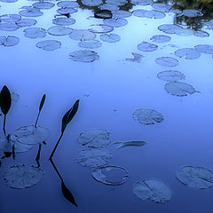 photo "Blue Lagoon"