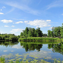 фото "Лето"