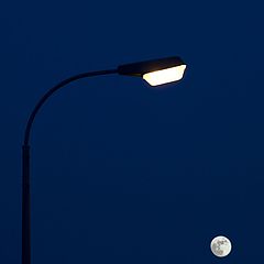 фото "Fool Moon"